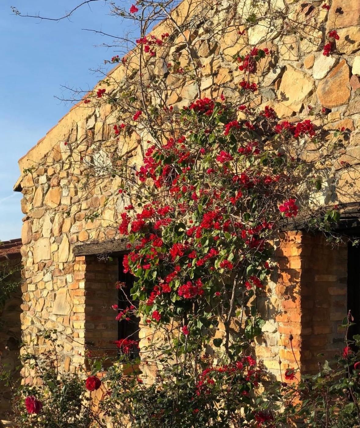 Finca Los Caleros Juan Gallegos Esterno foto