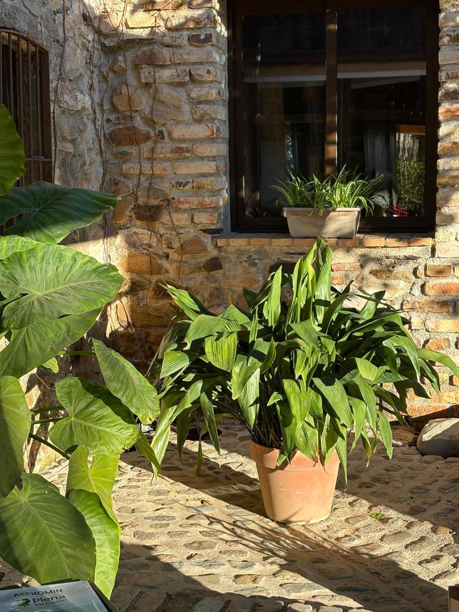 Finca Los Caleros Juan Gallegos Esterno foto